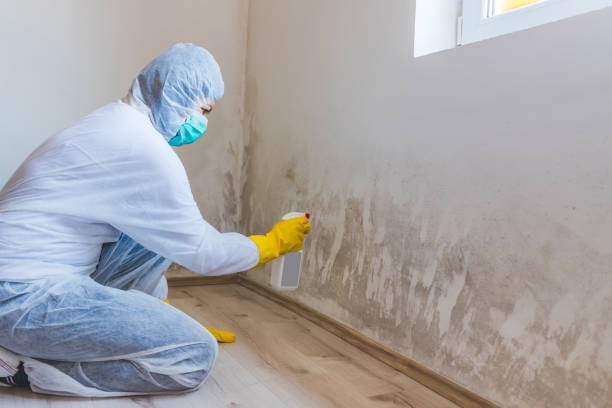 Crawl Space Mold Remediation treatment of floor joists in Sparks Glencoe